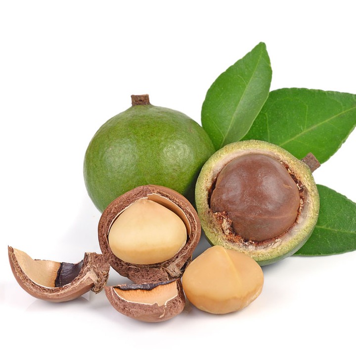 [HCM]Macca nứt vỏ tự nhiên Fresh Tamarind 500g
