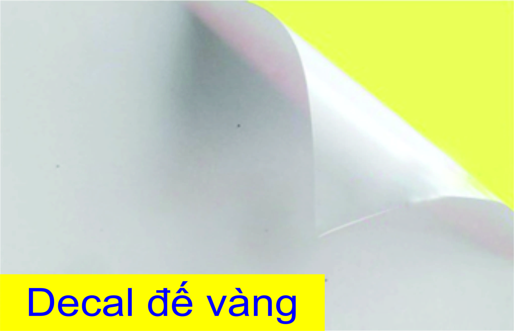 [HCM]Decal đế xanh -đế vàng 100 tờ/xấp