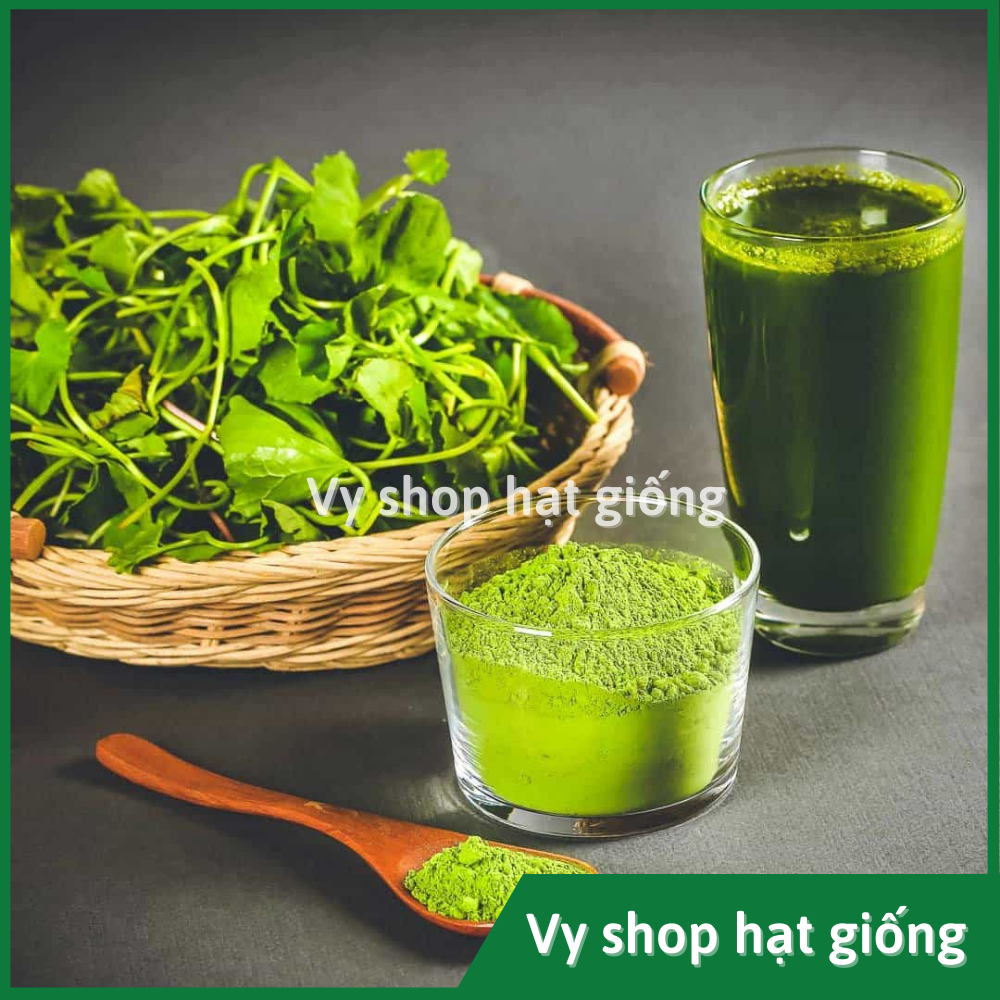Hạt giống rau má Thái Lan gói 500 hạt