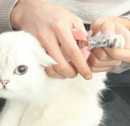 KỀM CẮT MÓNG GROOMING TOOL CHO THÚ CƯNG CHÓ MÈO