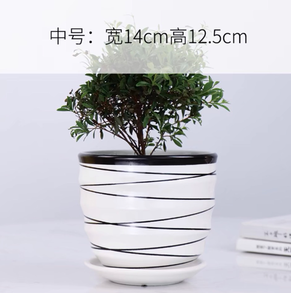 Chậu trồng cây size 17cm - kèm đĩa đựng nước
