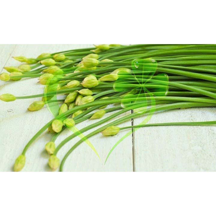 Hạt giống hẹ ăn bông - gói 1 gram