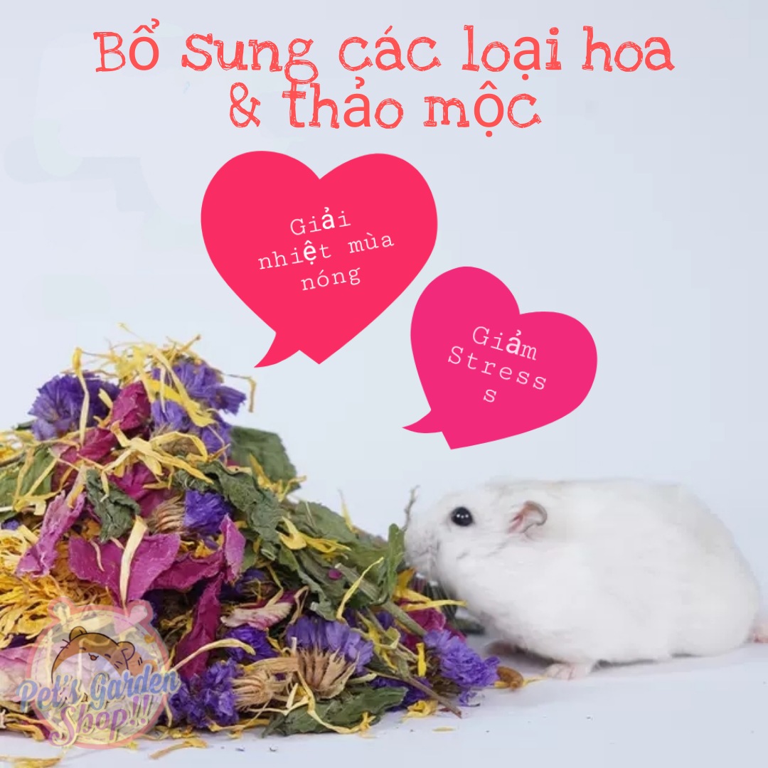 Thức ăn hải sản Jonsanty cho hamster