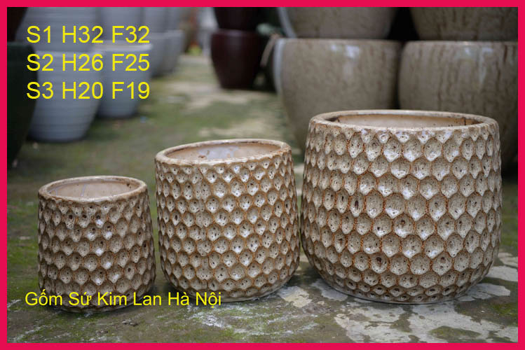 orchid flower pots
