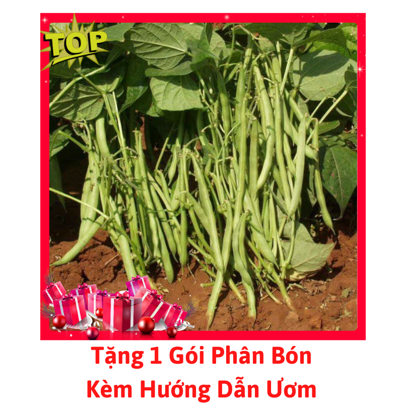 [Lấy mã giảm thêm 30%] Gói Hạt Giống Đậu Cove Lùn
