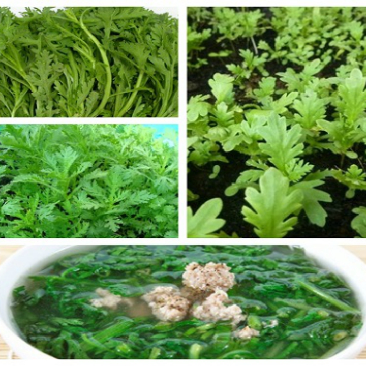 Hạt giống Rau tần ô gói 20 gr