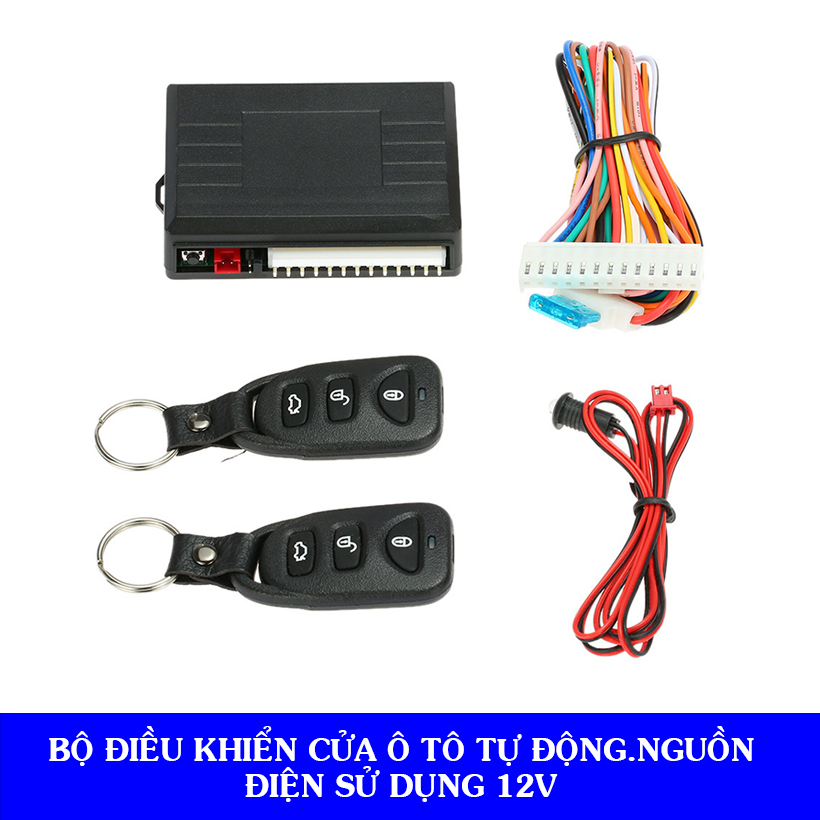 Bộ Điều Khiển Cửa Ô Tô 12V