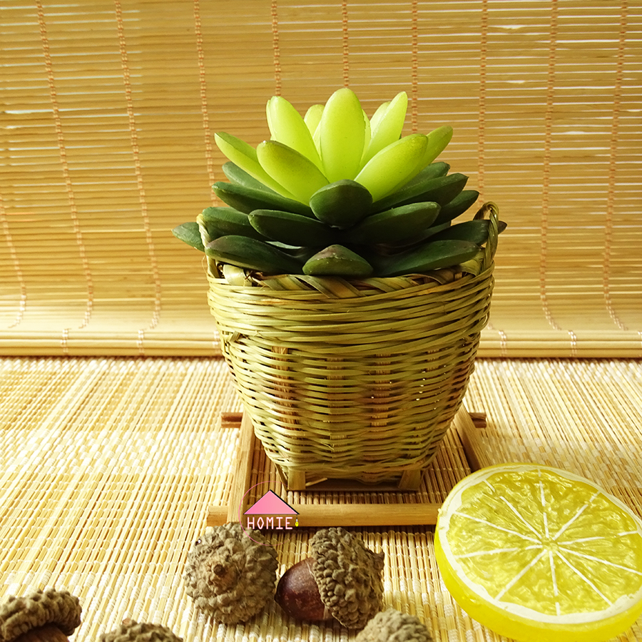 Cần xé mini trang trí bàn xinh xắn