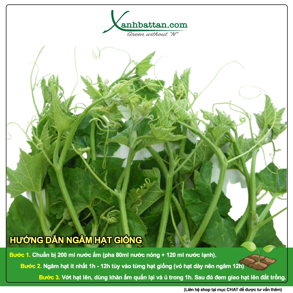 Hạt Giống Bí Ngọn Siêu Đọt Phú Nông Gói 10 Gram