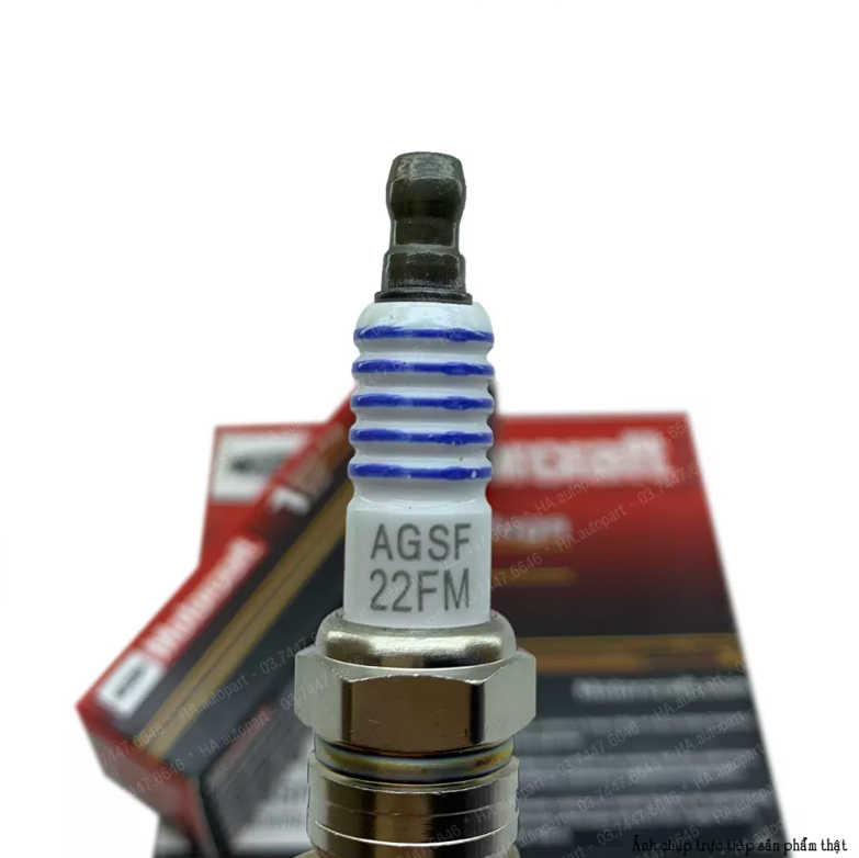 Bugi Motorcraft Platinum Ford chân ngắn