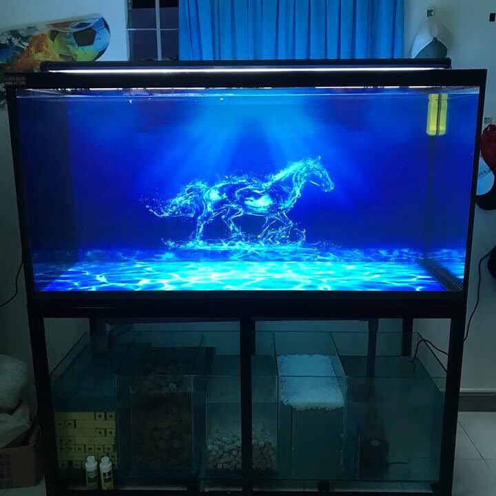 Tranh 3D dán bể cá mẫu ngựa nước siêu ấn tượng, tranh có keo sẵn trên bề mặt, có thể in theo kích thước yêu cầu (mã AQB21-128)