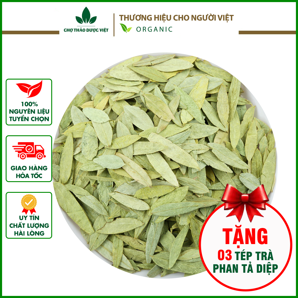 Phan tả diệp 1kg (Hỗ trợ táo bón lá sạch không vụn)