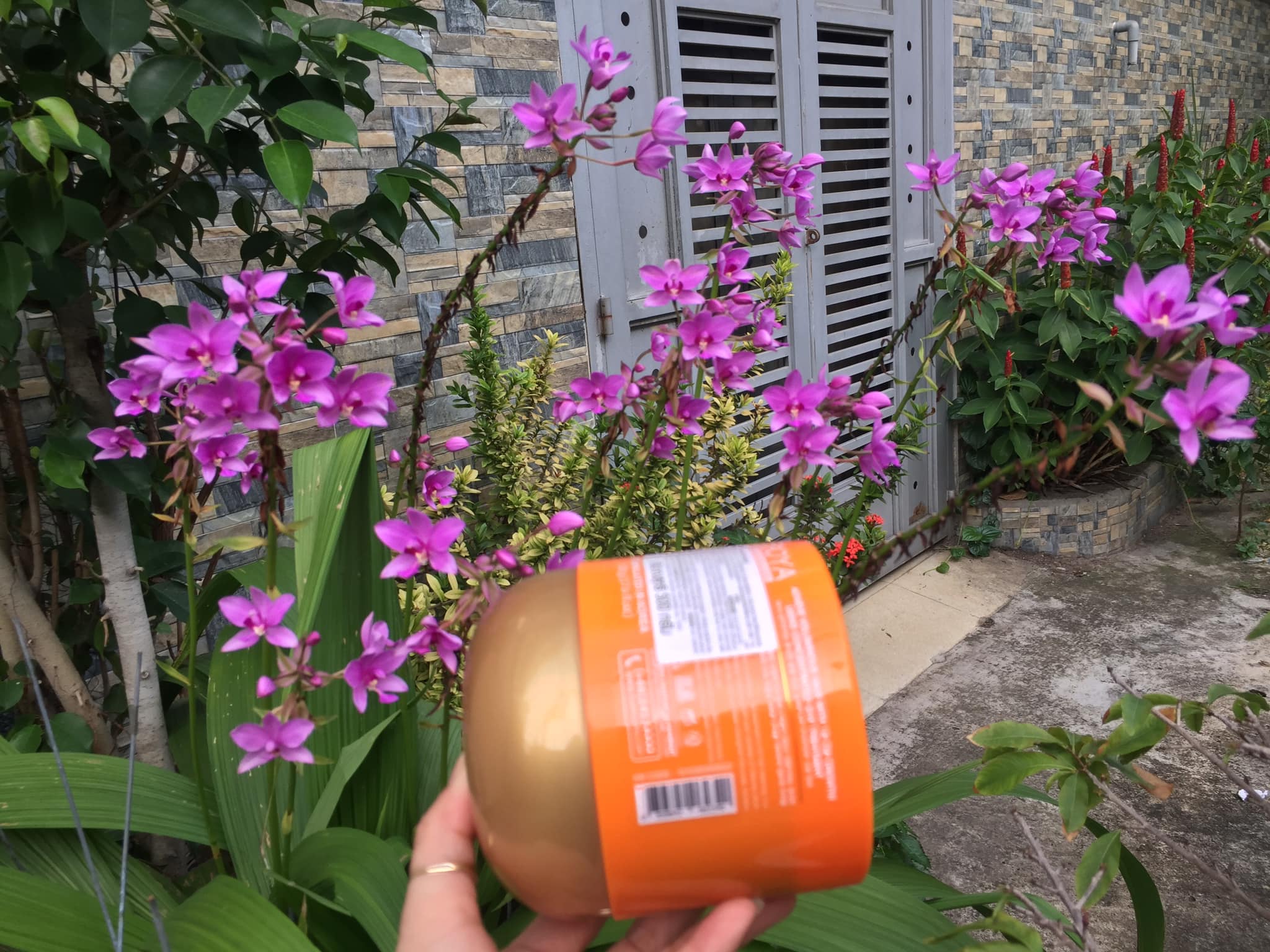 Hấp dầu mượt tóc BOYA Q10 Thái Lan 500 gram tăng độ ẩm cho tóc