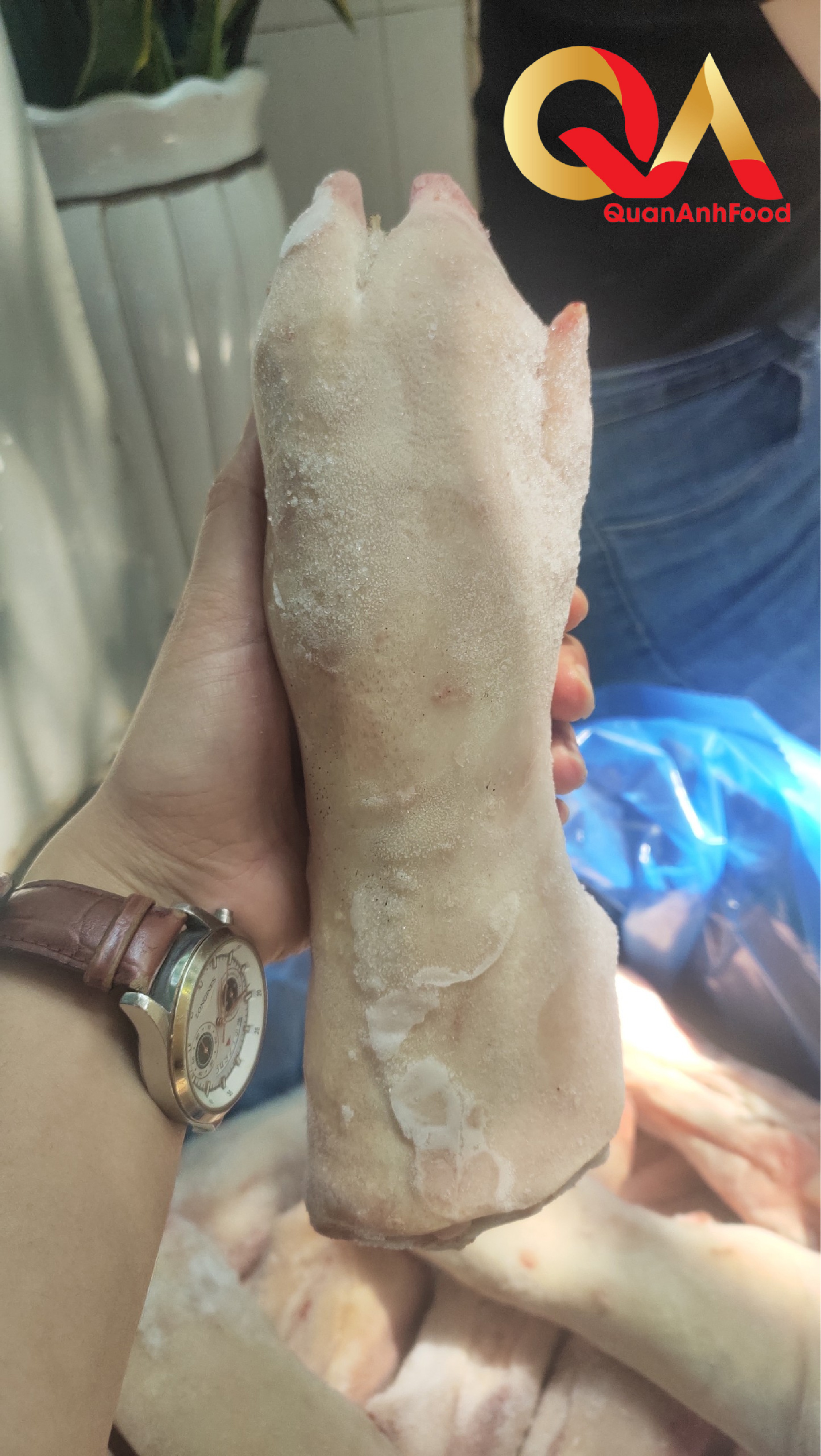 [CHỈ GIAO HỎA TỐC HCM] - DỰNG HEO CẮT KHOANH