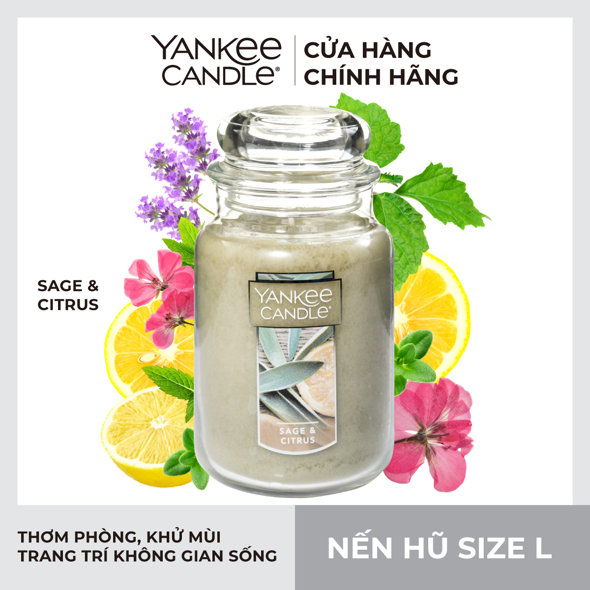 Nến hũ Yankee Candle size L - Sage & Citrus