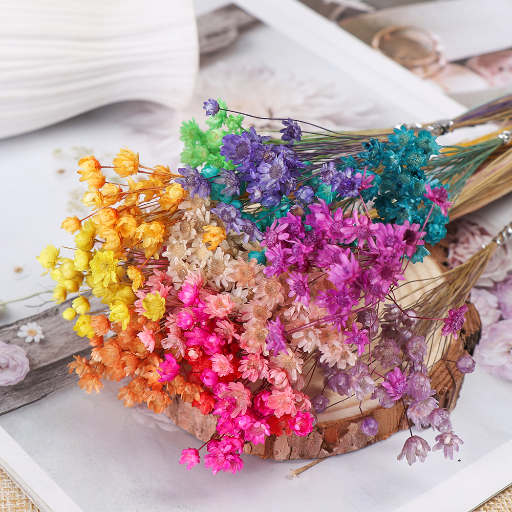 Dark Purple genenic Mini Daisy Beautiful Floral Bouquets DIY Crafts Natural Plants Home Decor Dried Flowers 30pcs 