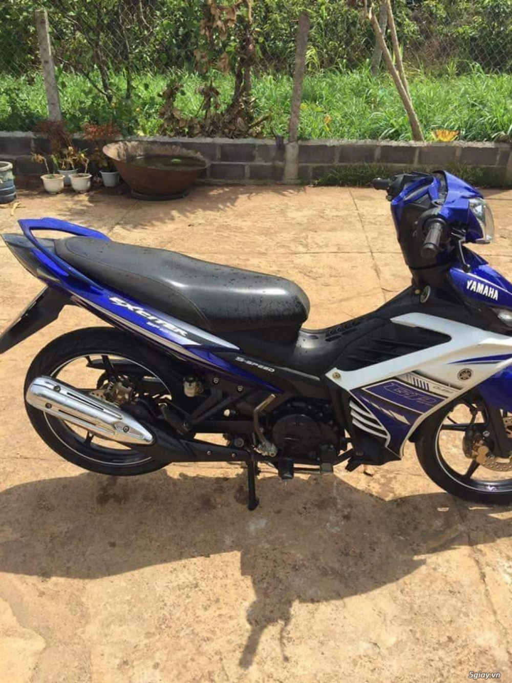 củ heo dầu jupiter, Viva, Axelo, nouvo 1 2 3 ( Bát dày )