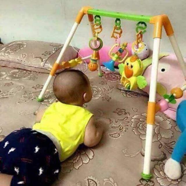 Kệ Chữ A Con Vẹt Có Nhạc