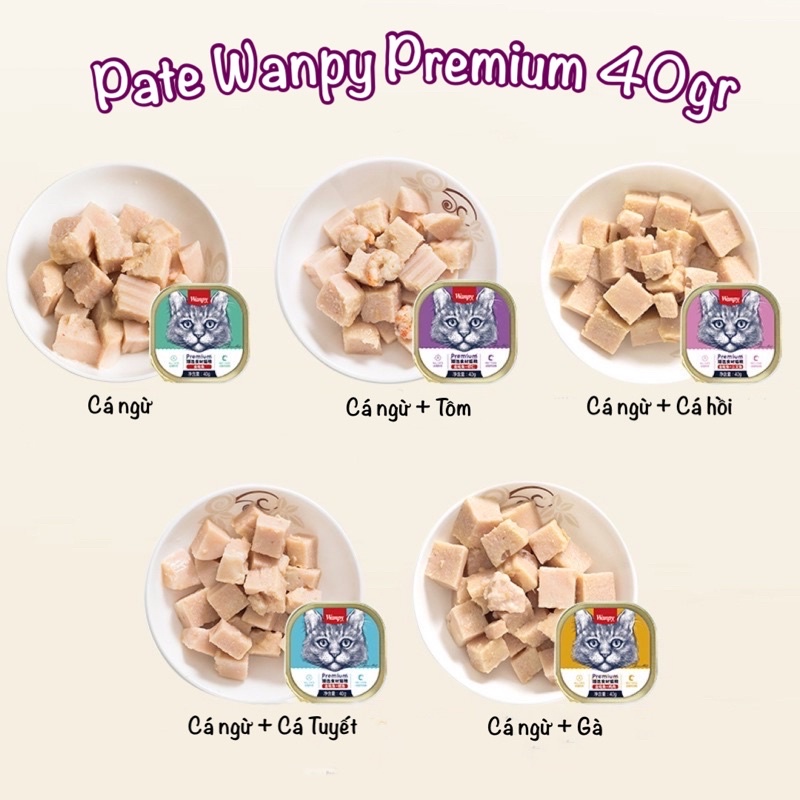 Pate Wanpy Premium Cho Mèo 40gr 🐱