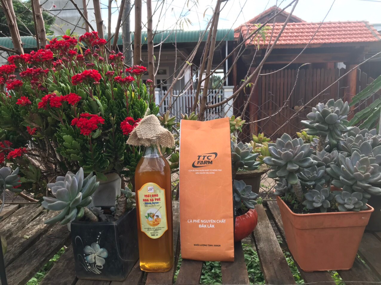 Cà phê nguyên chất TTC Farm 1kg