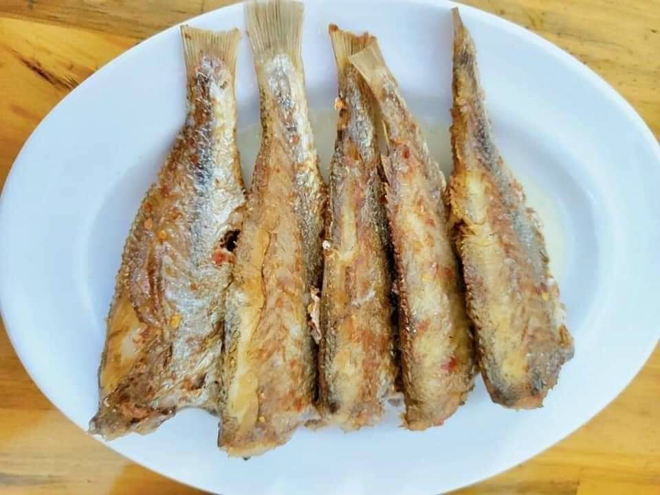 Cá đù 1 nắng lạc vừa ăn vĩ 500gr (giao hoả tốc tphcm)