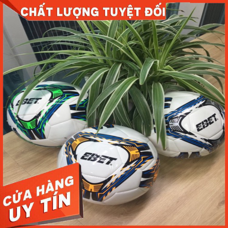 Quả bóng đá Động Lực may số 5 (nhiều màu)