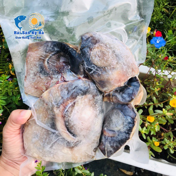 [GIAO NHANH 2H HCM] Giá sỉ 1 Kg Mắt Cá Ngừ