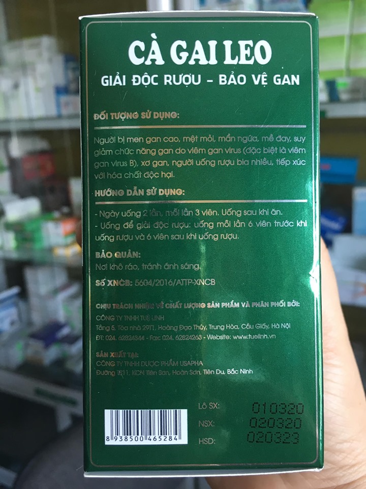 CÀ GAI LEO TUỆ LINH - GIẢI ĐỘC GAN