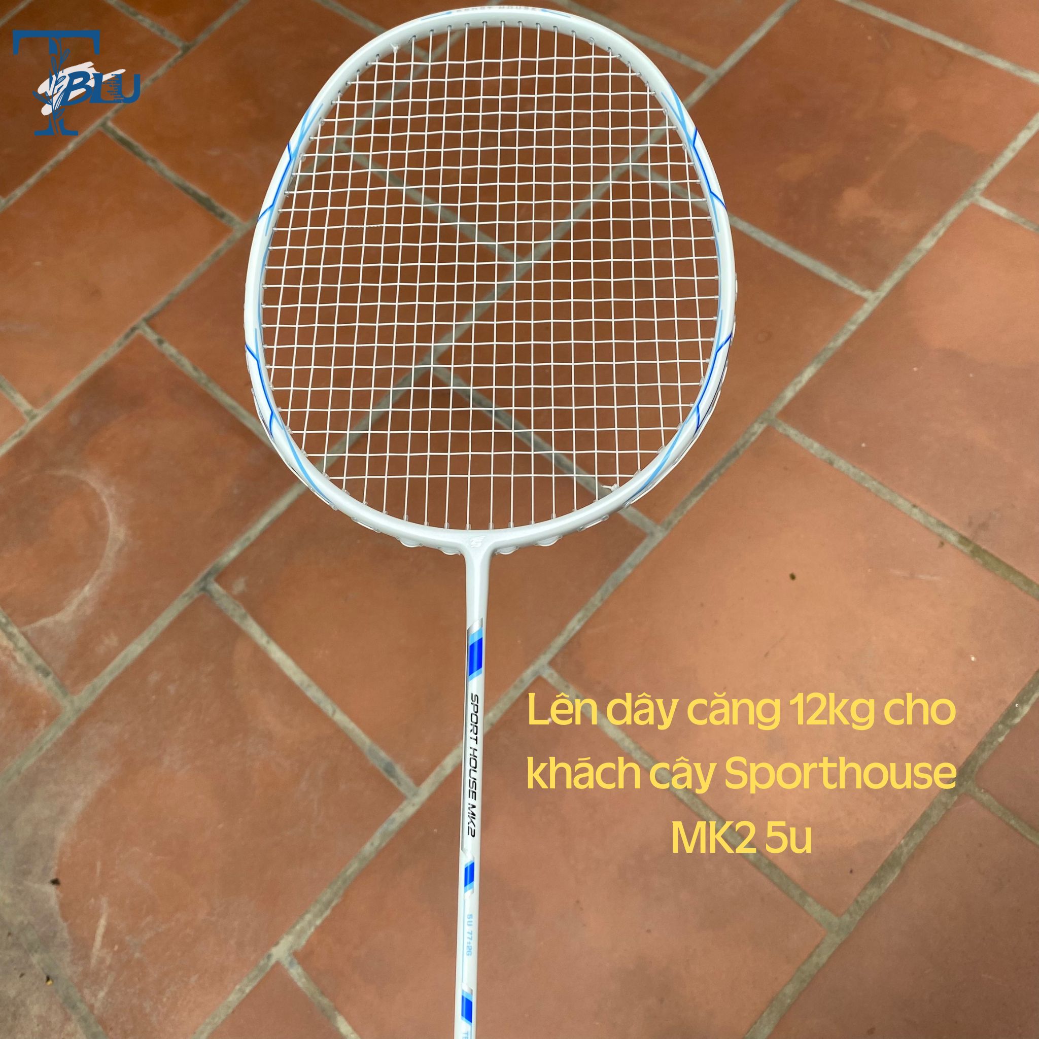 Dây cước căng lưới vợt cầu lông ALPHA GP3 ( màu ngẫu nhiên)