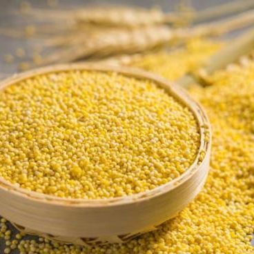 Hạt kê vàng đã tách vỏ hũ 500g .