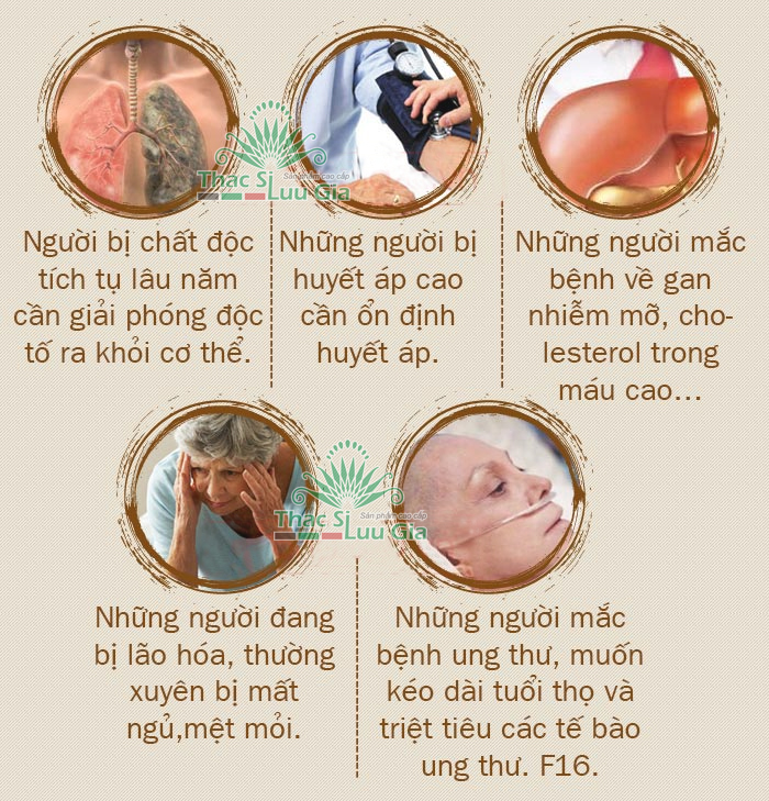 Nấm linh chi - Hộp 1kg