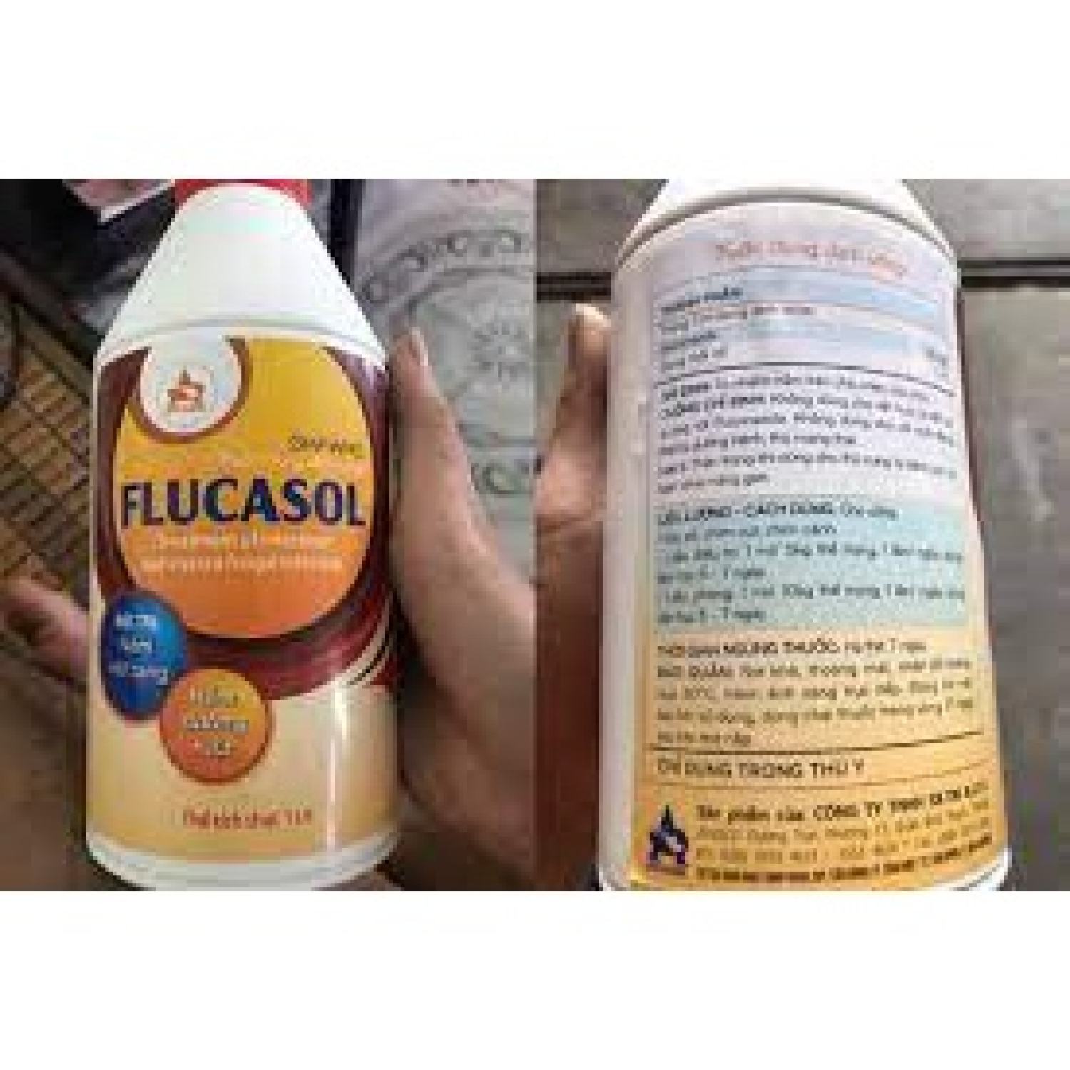 Flucasol đặc tɾị nấm thỏ,cho,mèo,chim