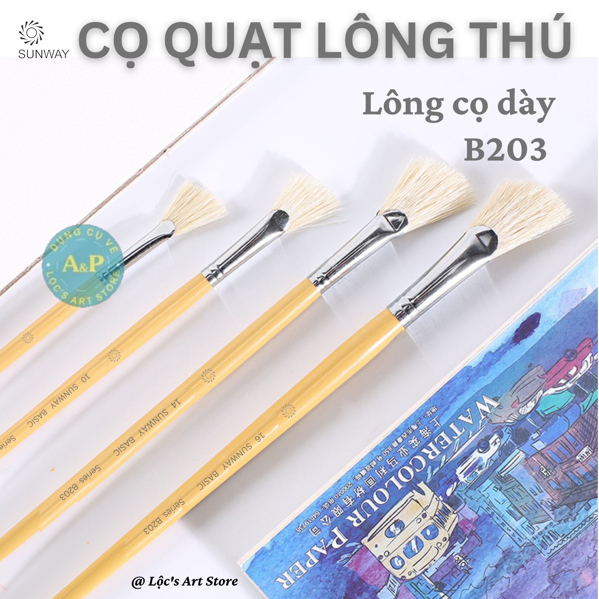 Cọ quạt lông lợn sunway b203 vẽ acrylic, gouache, sơn dầu