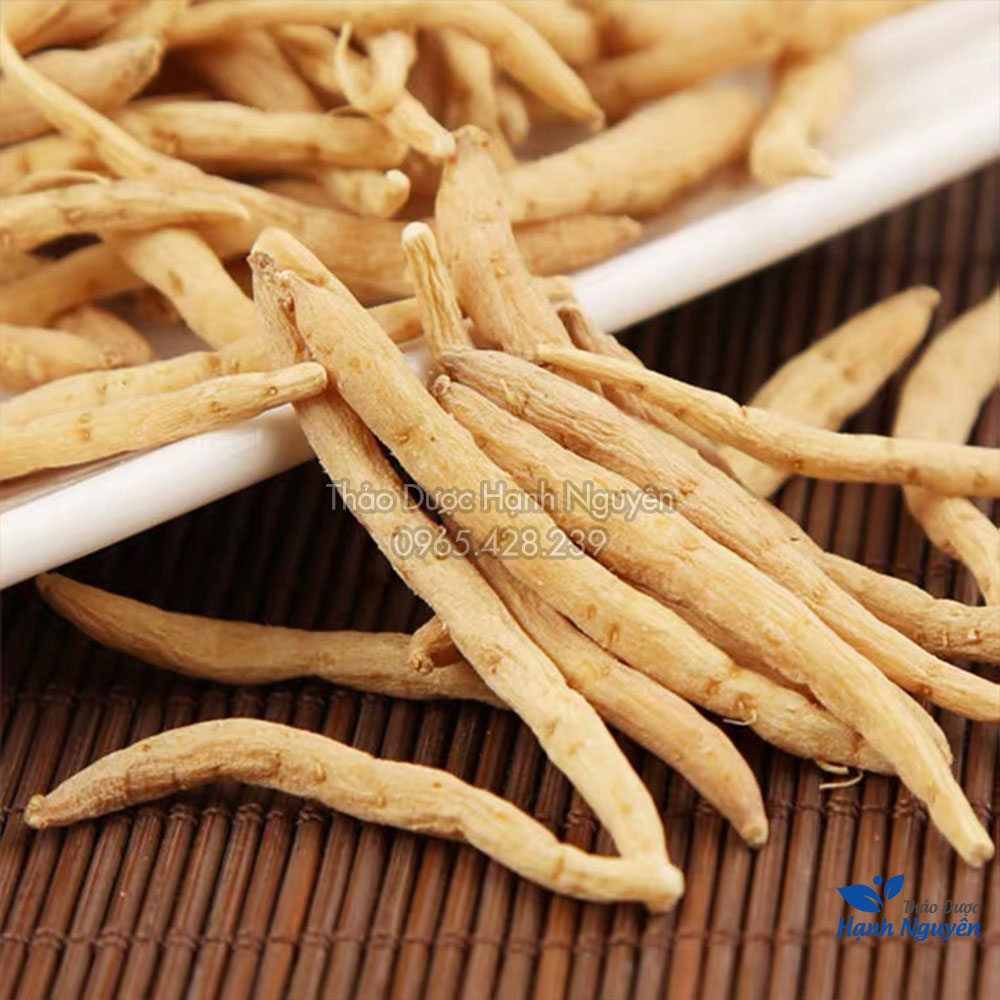 Sâm đất (Thái tử sâm) 100g - Thảo dược hạnh nguyên