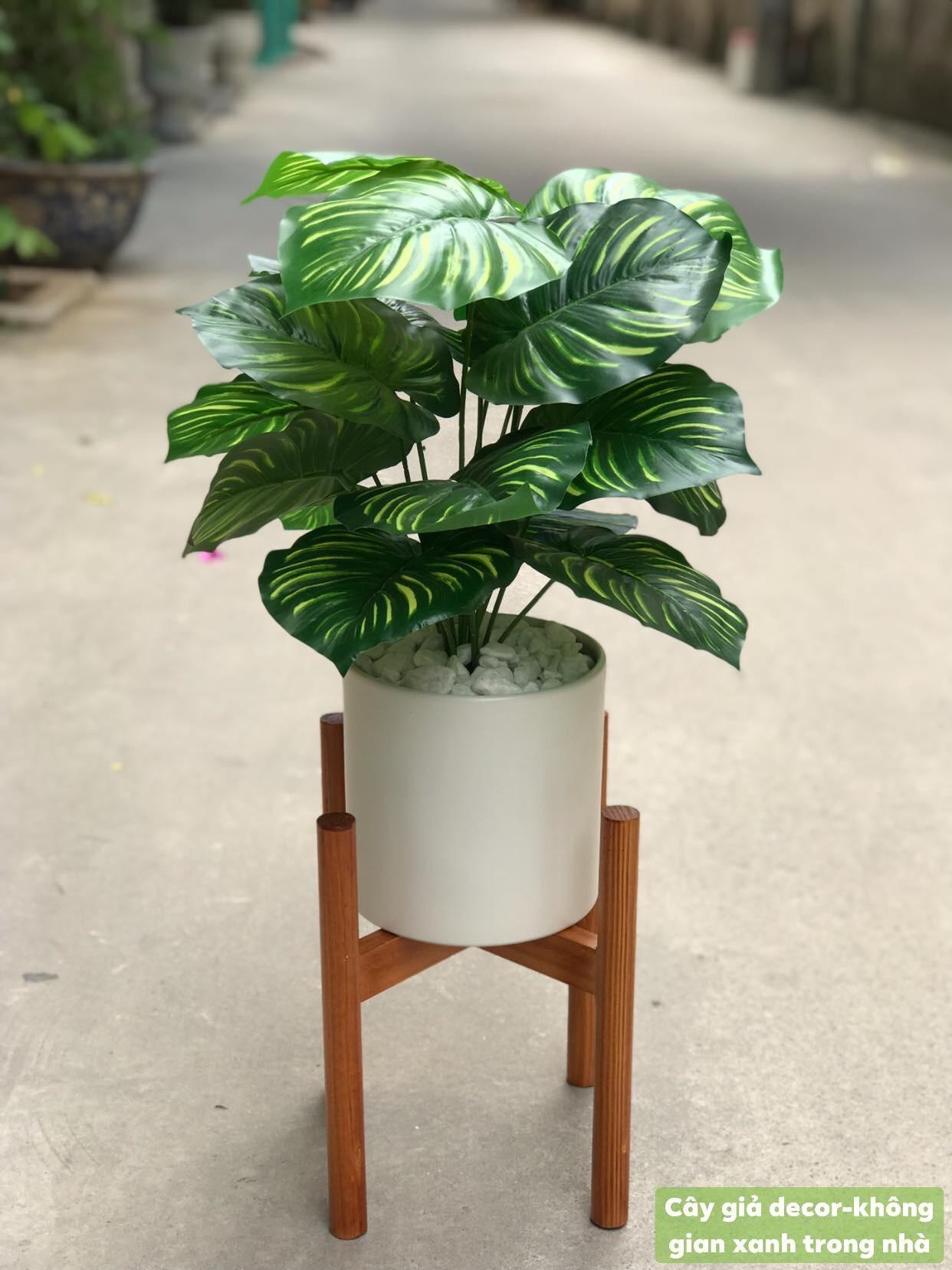 Cây giả - Cây trầu bà cao 45cm