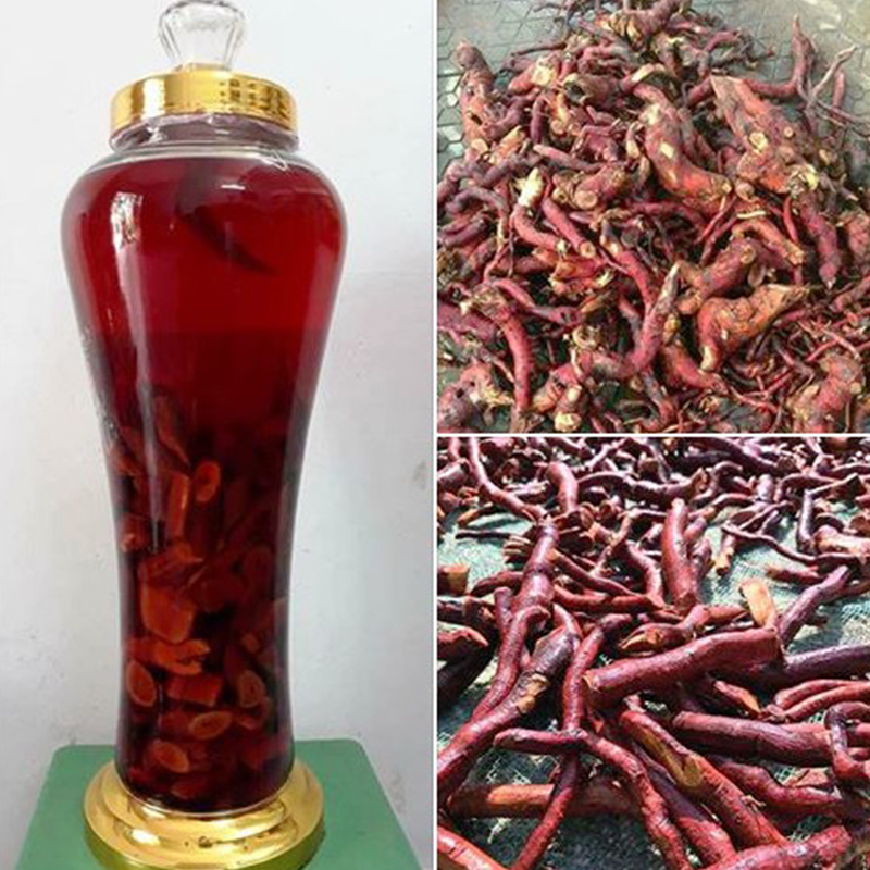 Rễ mú từn chuẩn 100% [1KG] - DB118