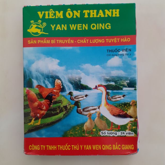 10 vỉ Viên ôn thanh khò khè, xổ mũi, tiêu chảy phân xanh phân trắng cho gà đá chim cảnh - Combo 10 hộp
