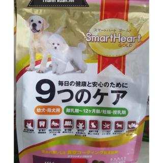 FREESHIP99K Thức ăn cho chó con POODLE Smart Heart Gold puppy nhật bản thumbnail