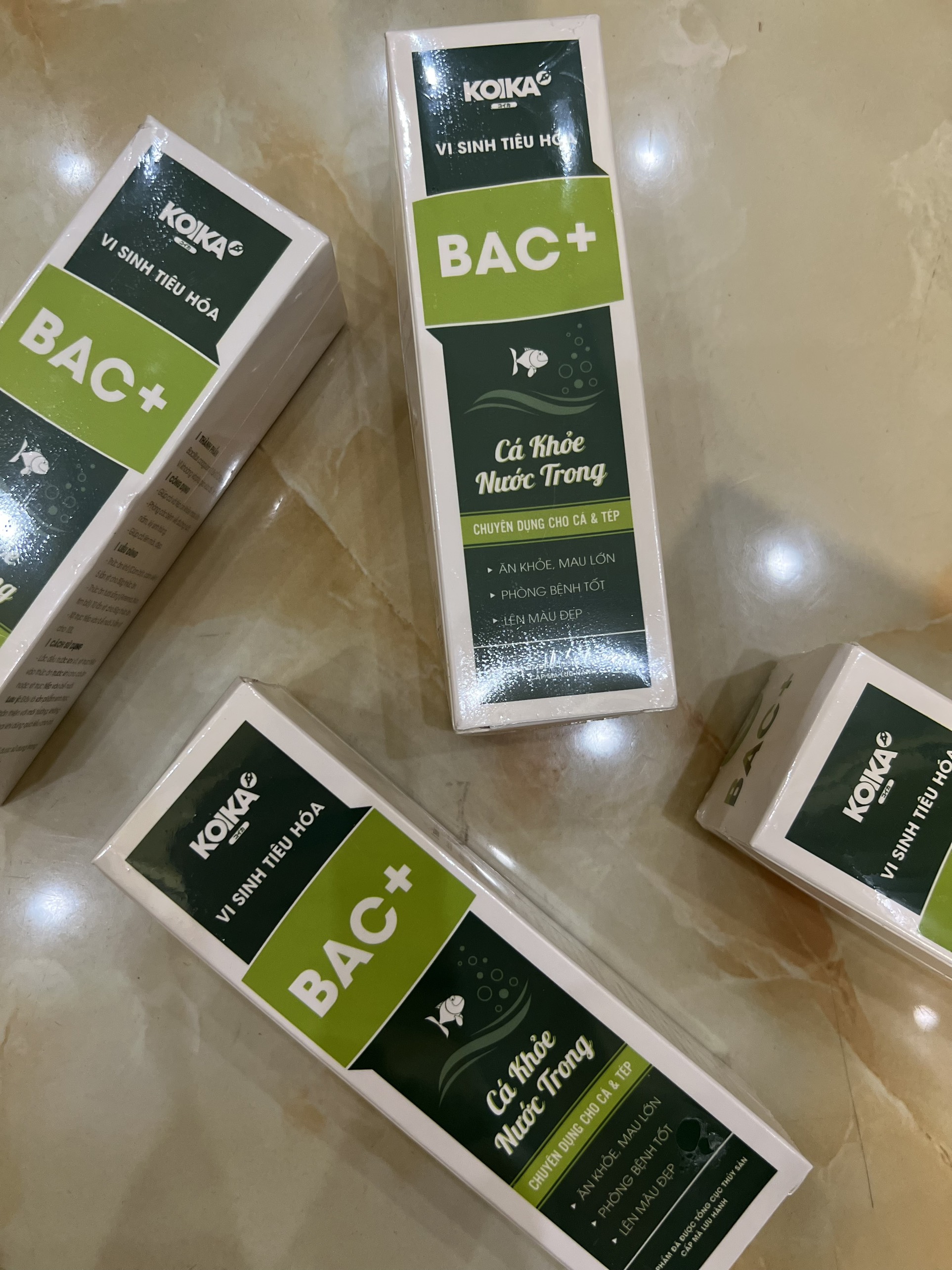 Vi sinh tiêu hóa KOIKA BAC+ (105ml) - Giúp tiêu hóa tốt cho cá cảnh
