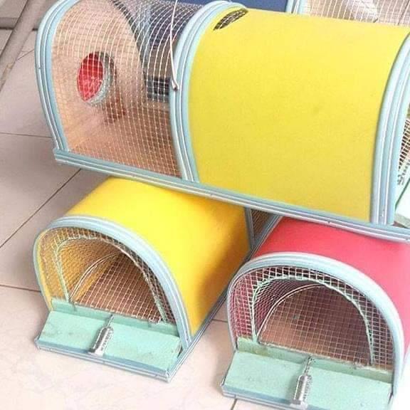 Bẫy Chuột thông minh tự động 2 ngăn