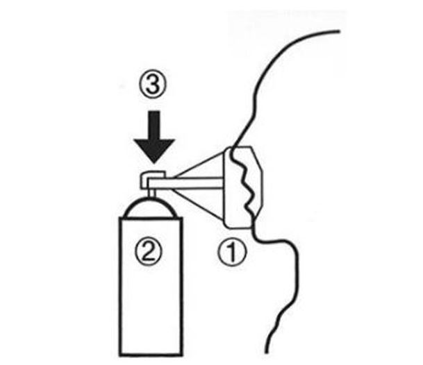 Bình khí oxy Hàn Quốc cầm tay Clean O2 816ml - BKO2