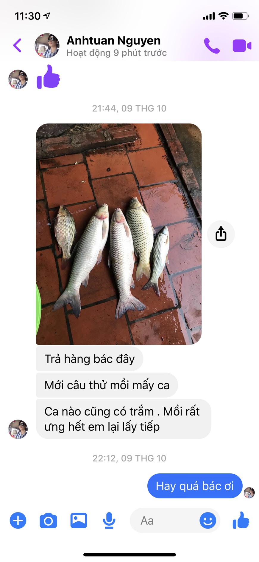 Mồi Trắm Trắng-Mồi Đen Chép