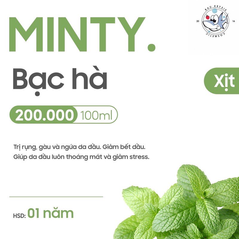 MINTY Hair Mist - Xịt Dưỡng Da Đầu Bạc Hà (Baukrysie)