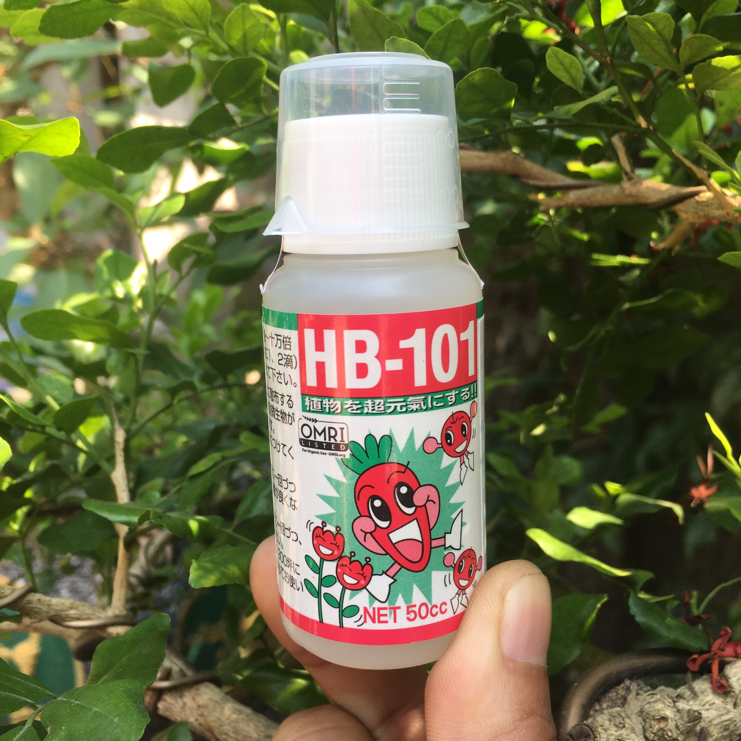 hb 101