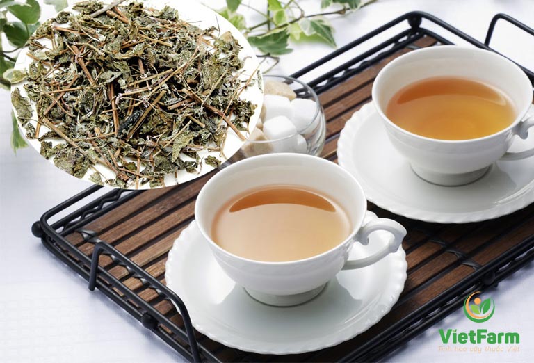 1kg Chè dây Sapa Thảo Dược Việt hổ trợ điều trị viêm loét dạ dày