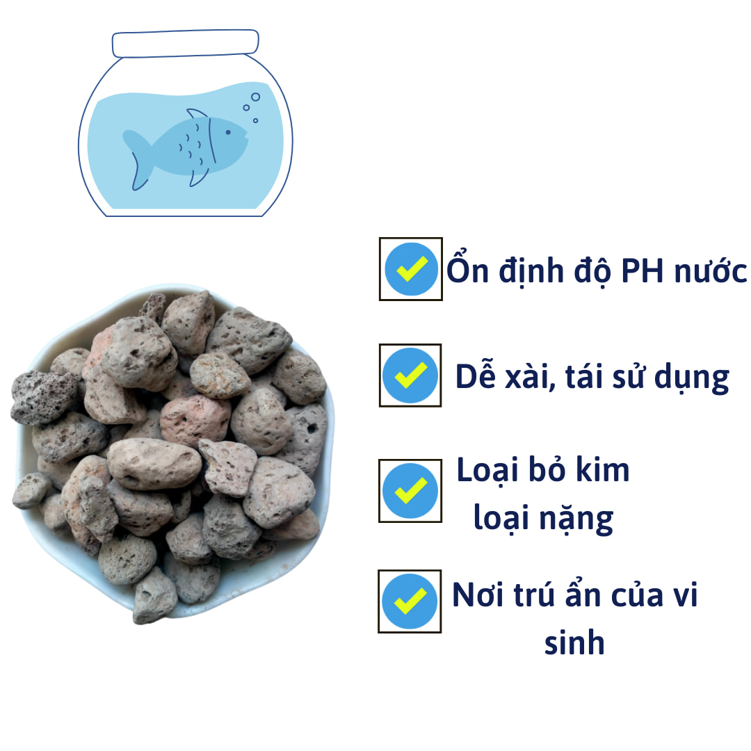 Đá bọt PUMICE trồng lan, sen đá, cây cảnh
