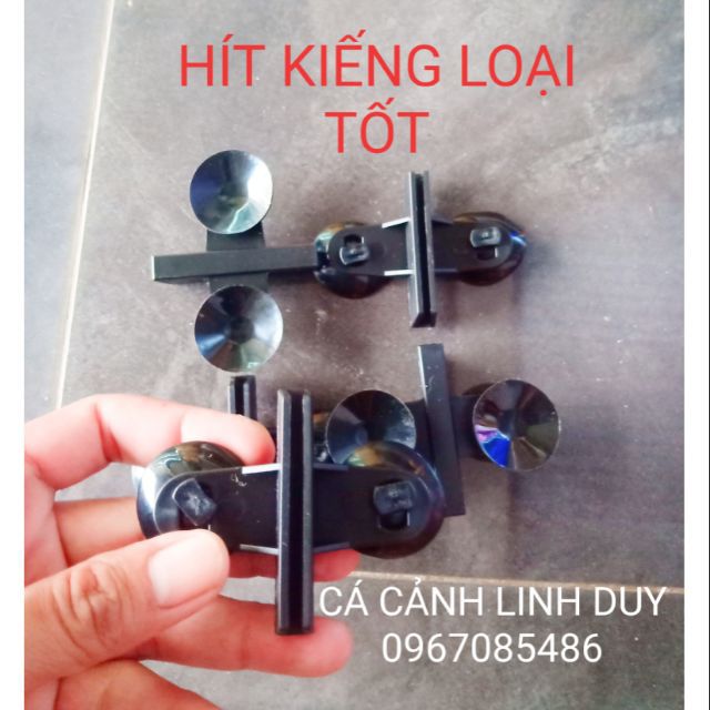 Hít kiếng ngăn hồ, chia hồ cá loại tốt