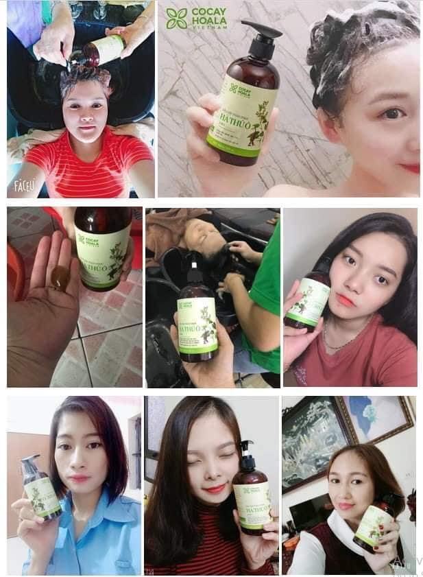 Dầu gội Hà Thủ Ô giúp tóc bạc thành tóc đen trở lại