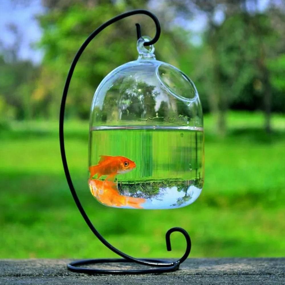 AMBOAE Tròn/hình chữ nhật Trang trí nhà cửa Treo tường Bình thủy canh Có giá đỡ Trang trí bể cá Trang trí bình hoa Bể cá Bát cá thủy tinh treo Bát cá