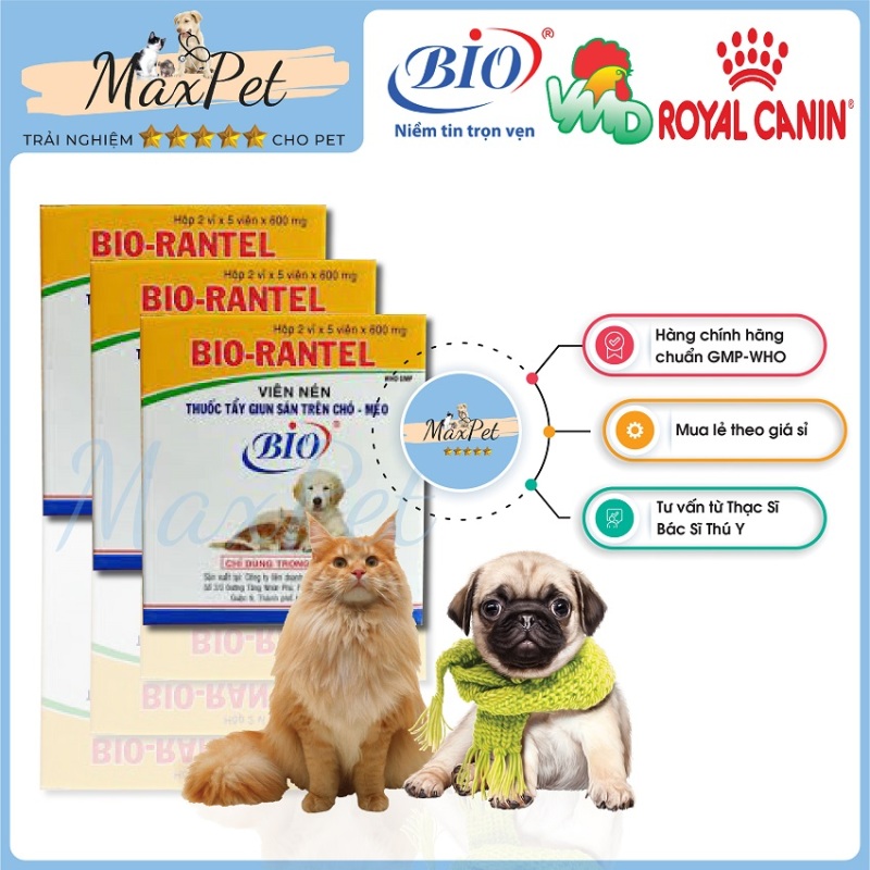 Sản phẩm tẩy giun sán cho chó mèo MP17 tác dụng tiêu diệt giun đũa, giun tim, giun móc, sán dây triệt để cho thú cưng Bio Rantel - Maxpet